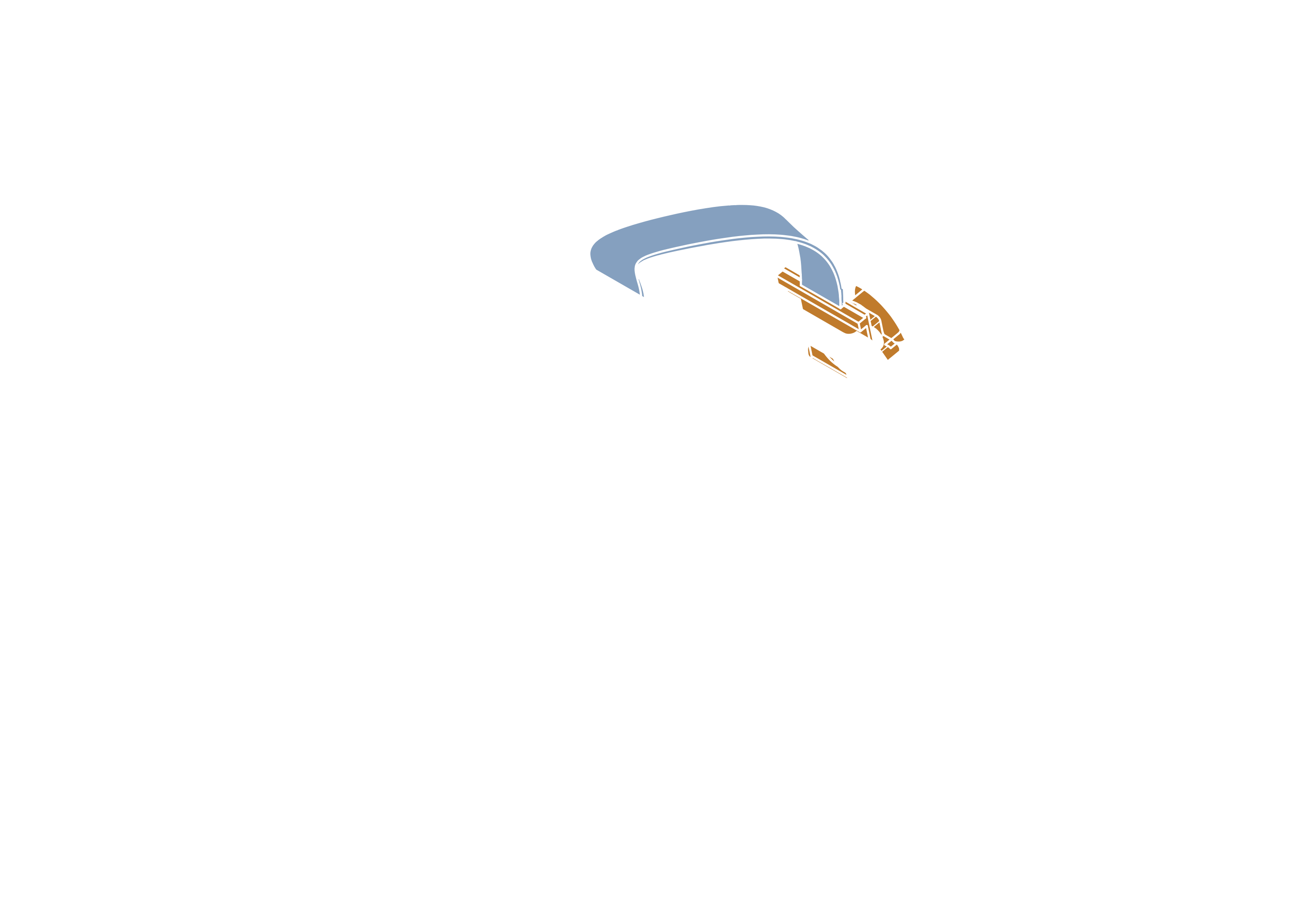 Attached camera ribbon