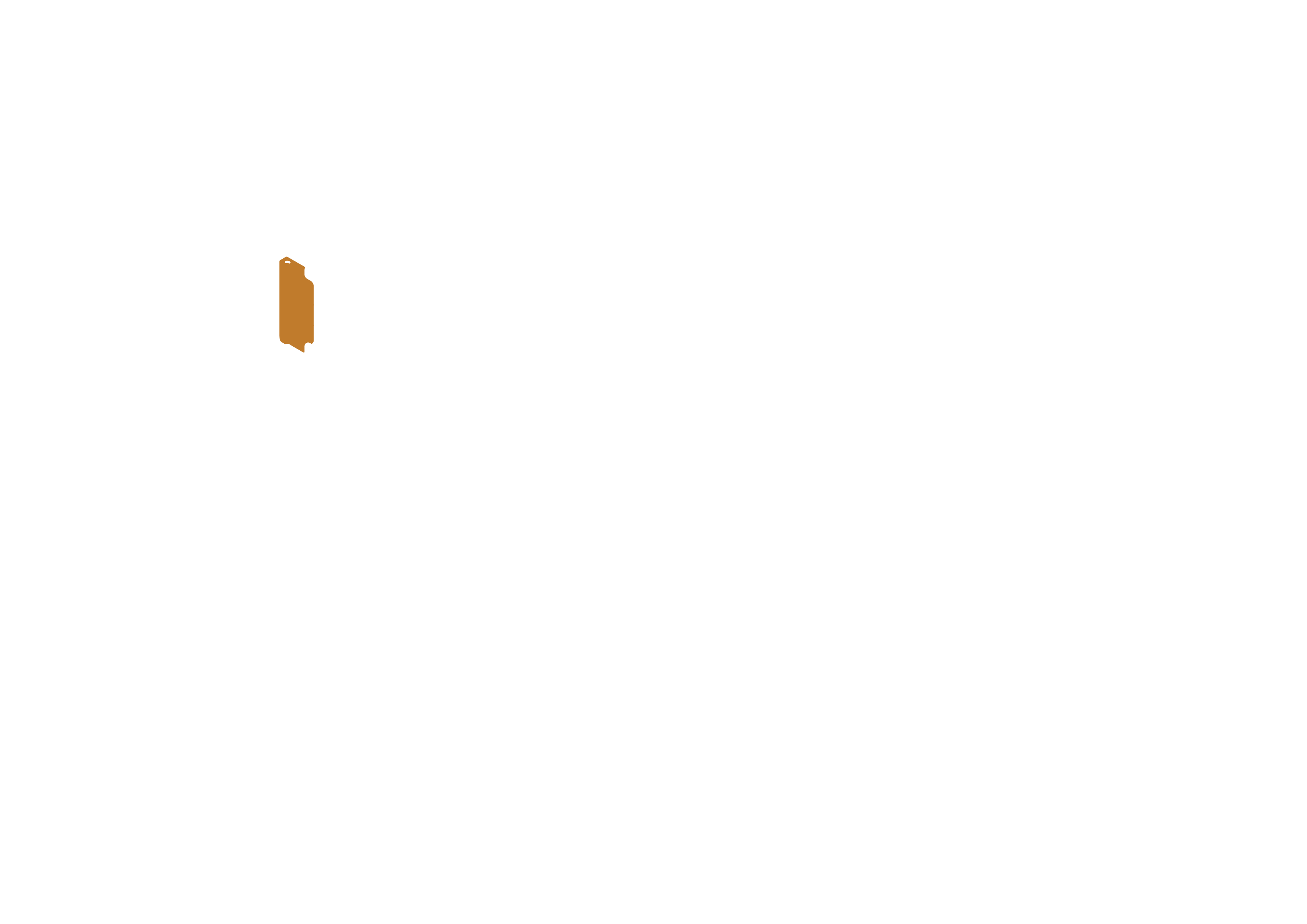 SD card slid into the RPi